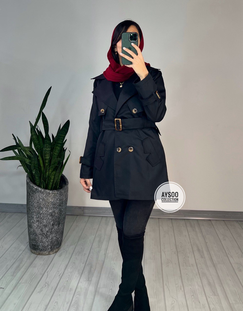 بارونی آستردار هستی