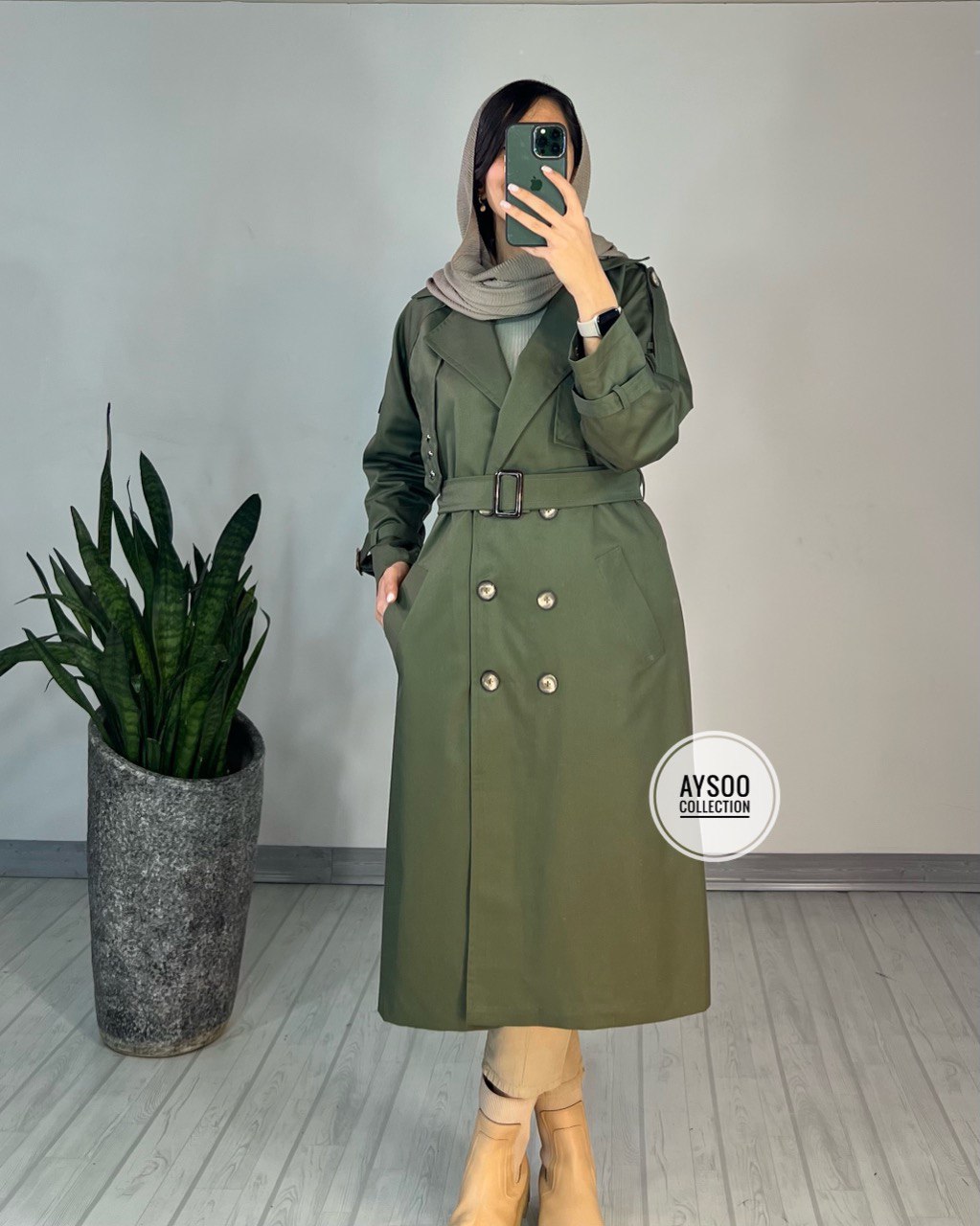 بارونی آستردار آنیکا