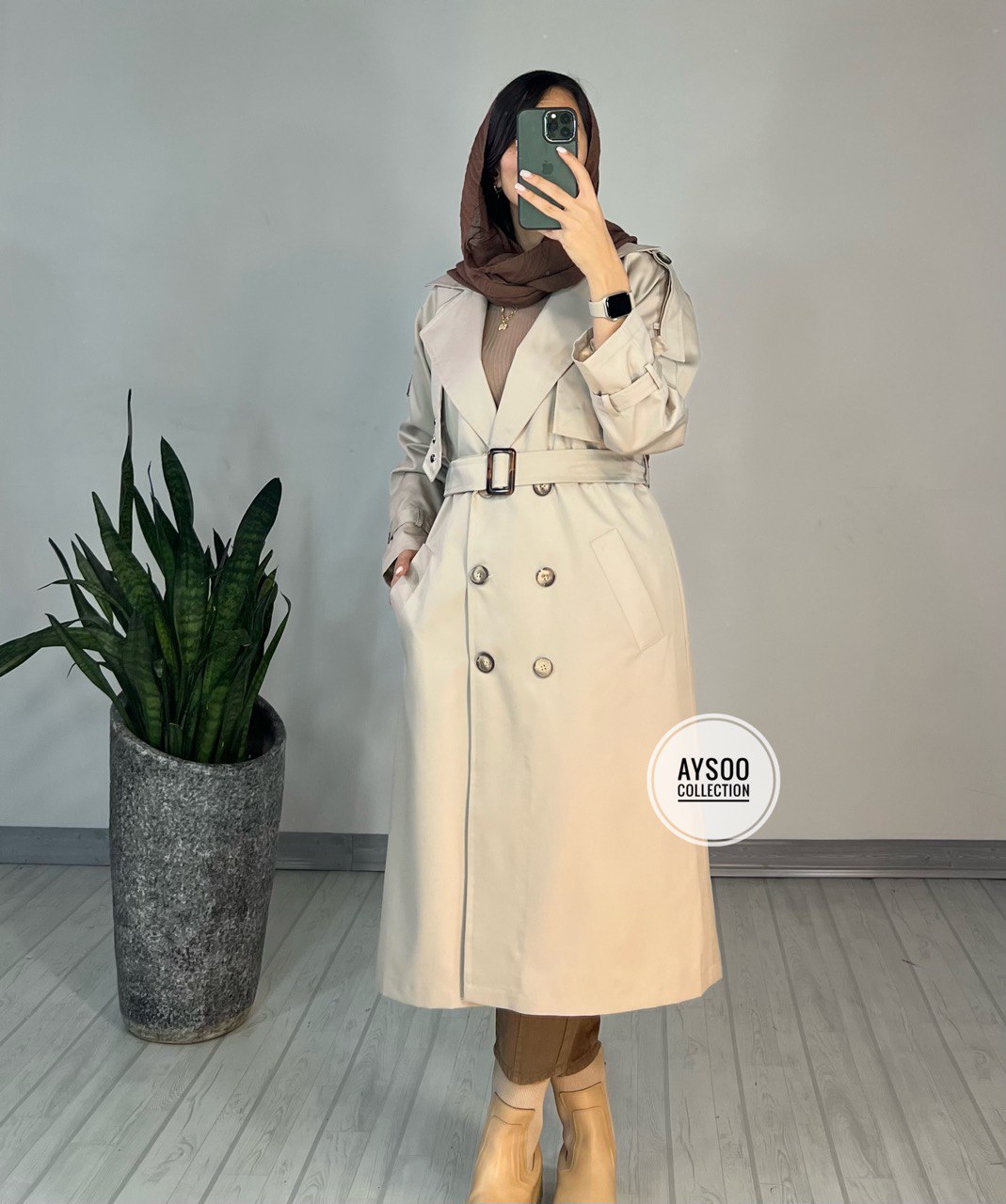بارونی آستردار آنیکا