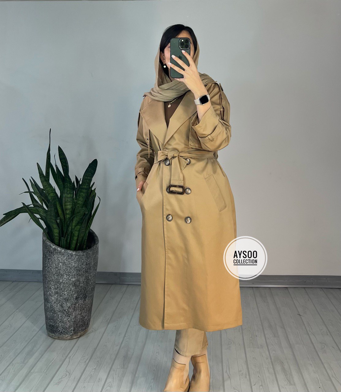 بارونی آستردار آنیکا