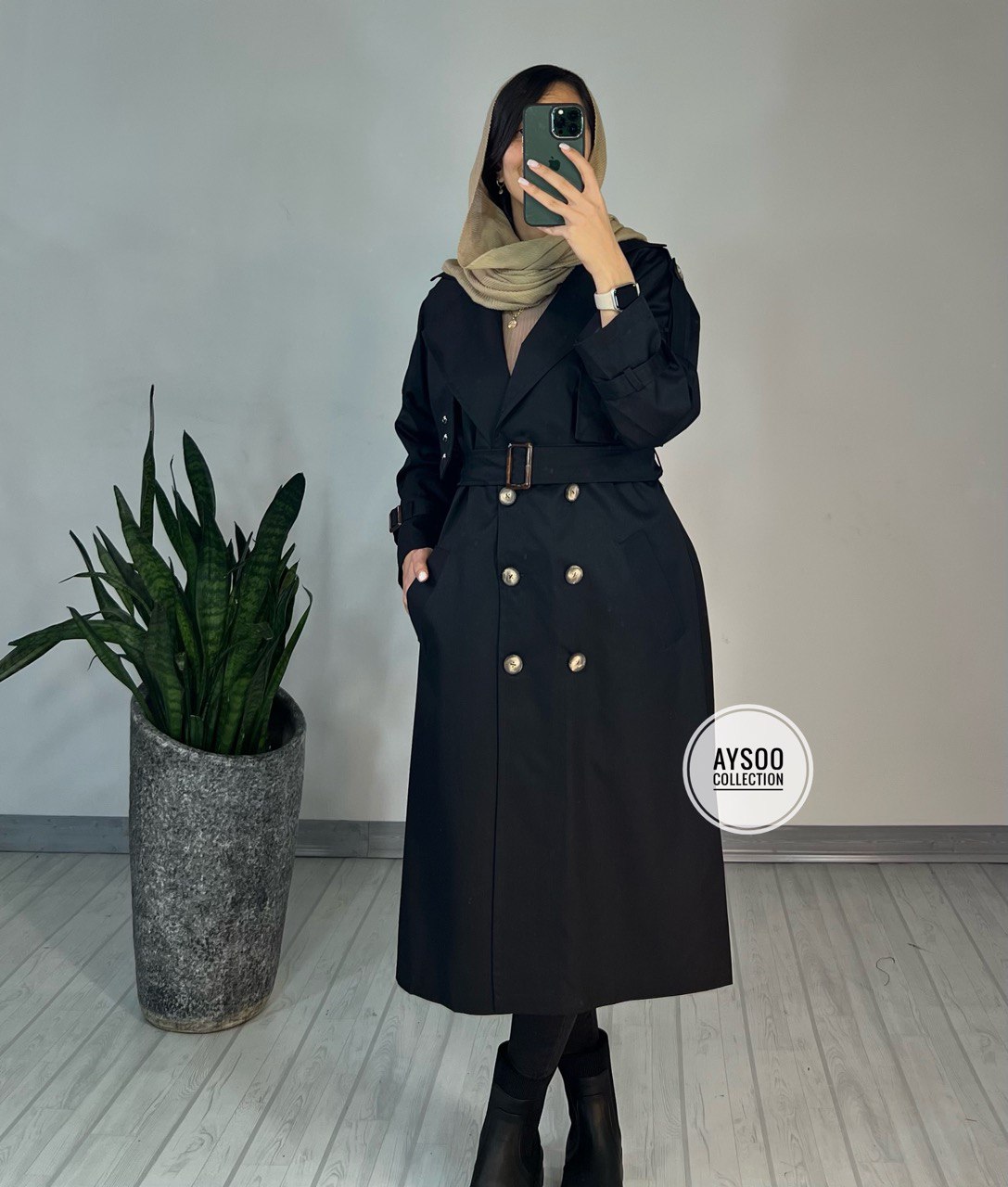 بارونی آستردار آنیکا