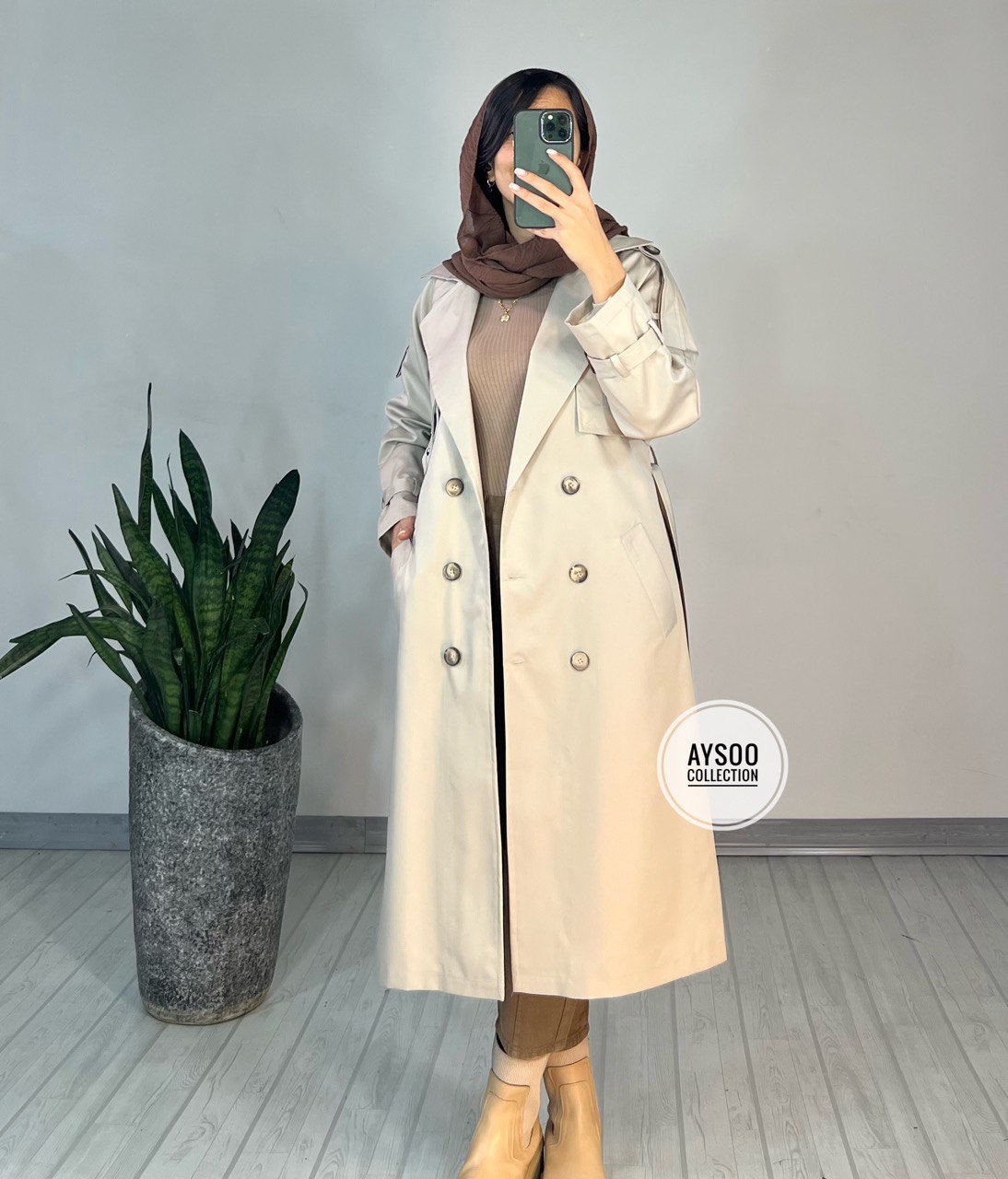 بارونی آستردار آنیکا