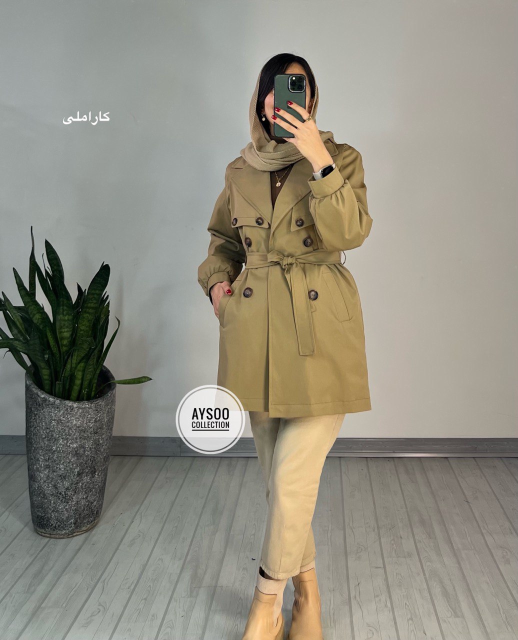 بارونی آستردار هلسا