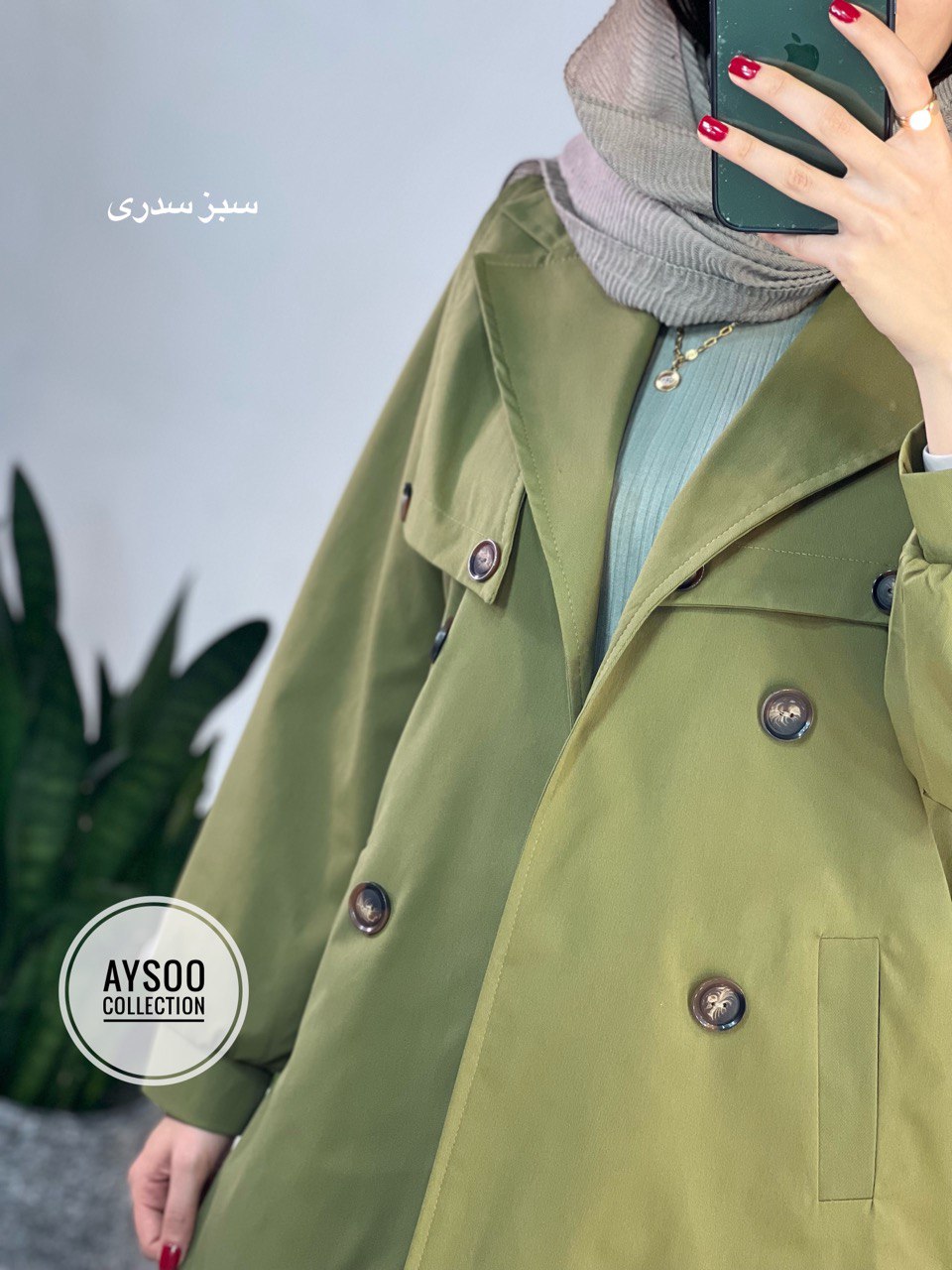 بارونی آستردار هلسا