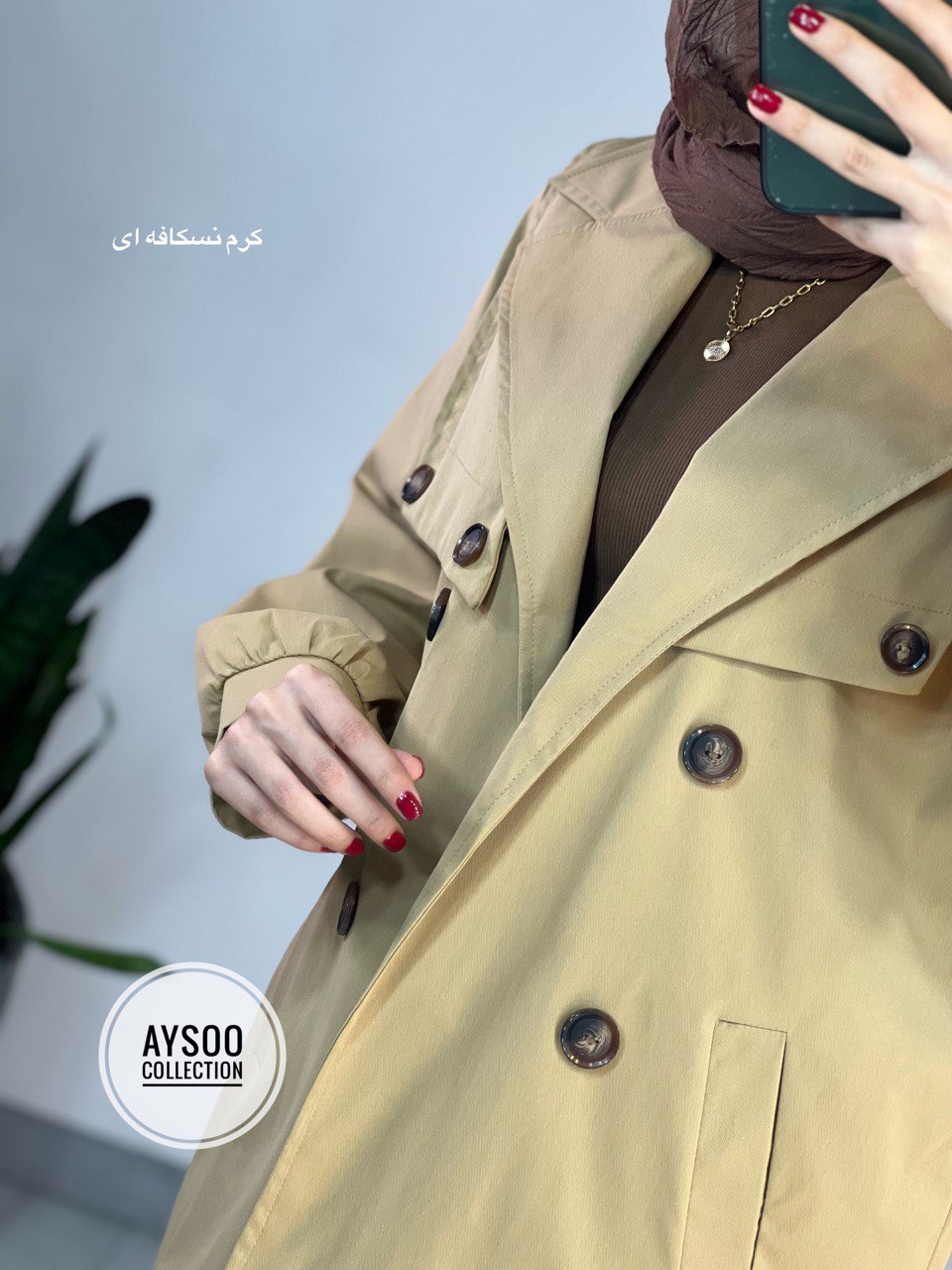 بارونی آستردار هلسا
