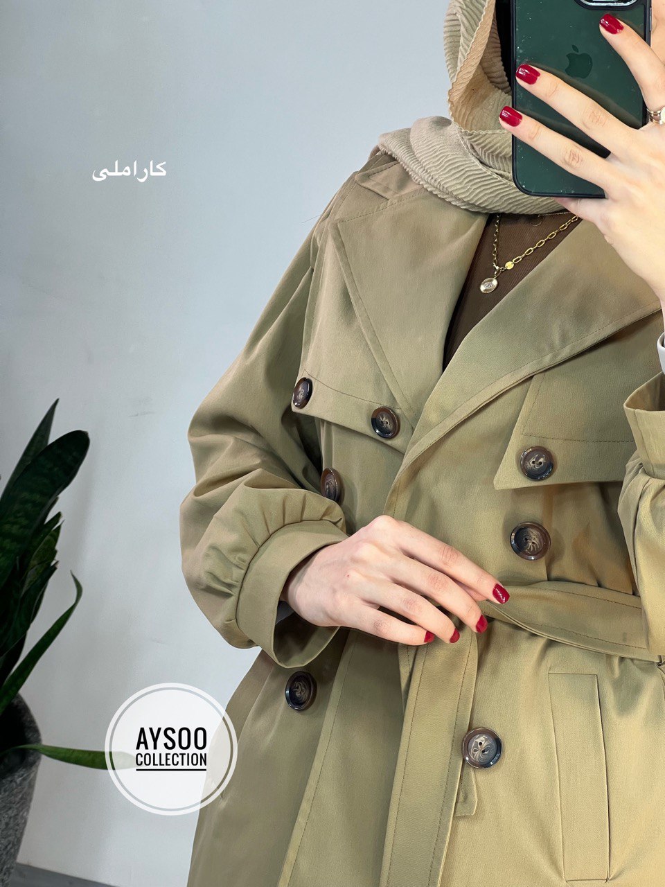 بارونی آستردار هلسا