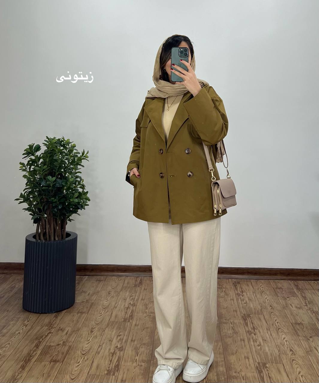 بارونی آستردار وینا