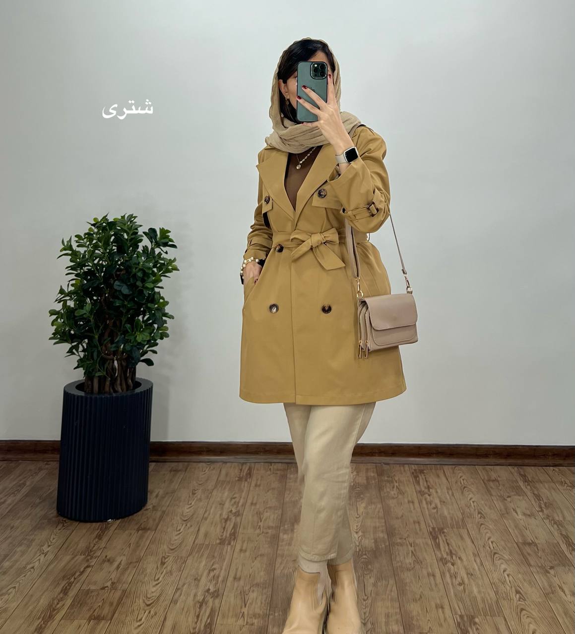 بارونی کلاره