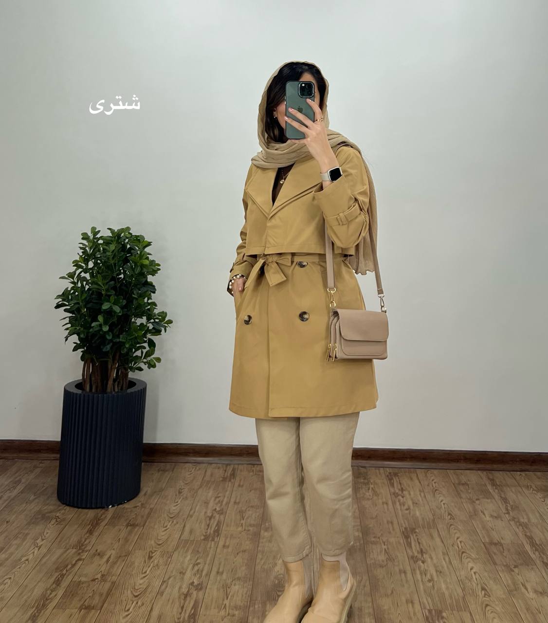 بارونی آرام 2